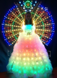 LED Long Dress with LED Backpack