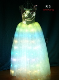 Programmable LED dress